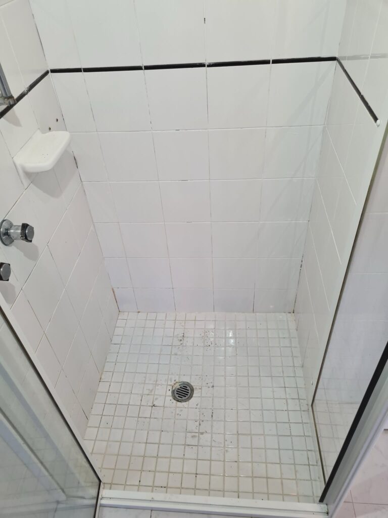 Mornington Shower Tiles Before