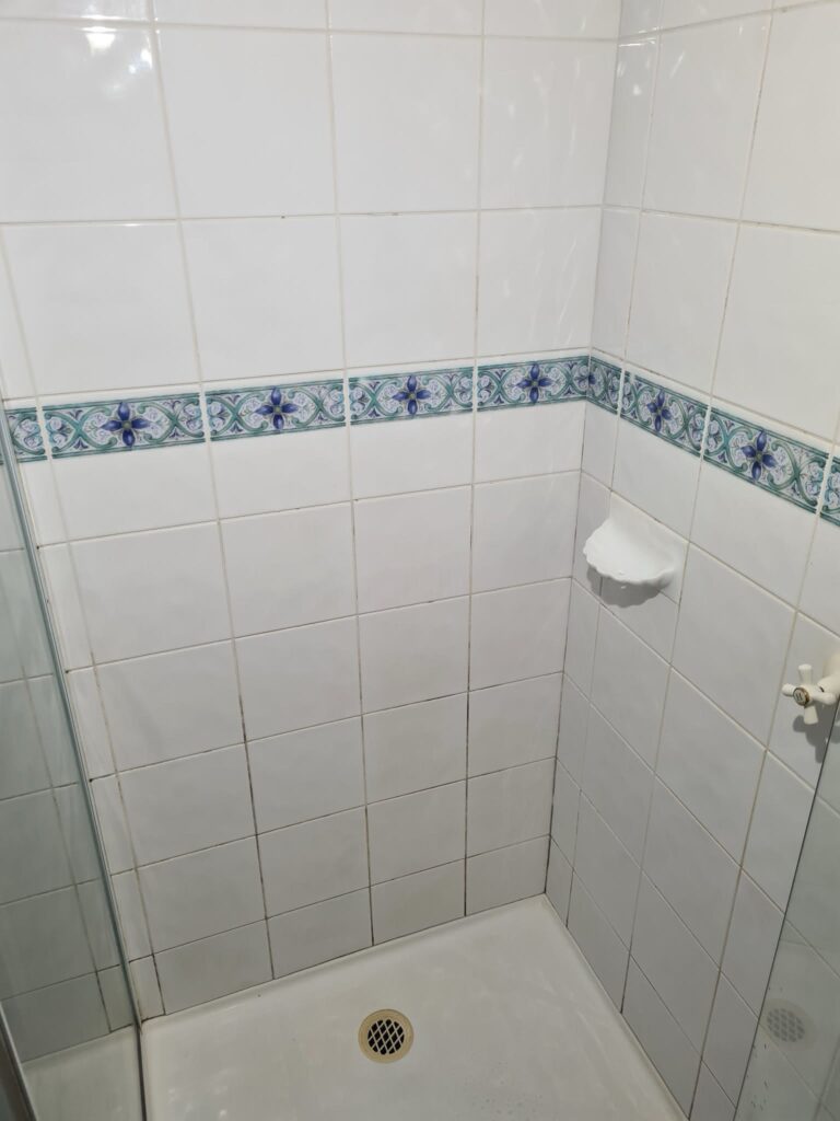Mouldy Grout In Shower