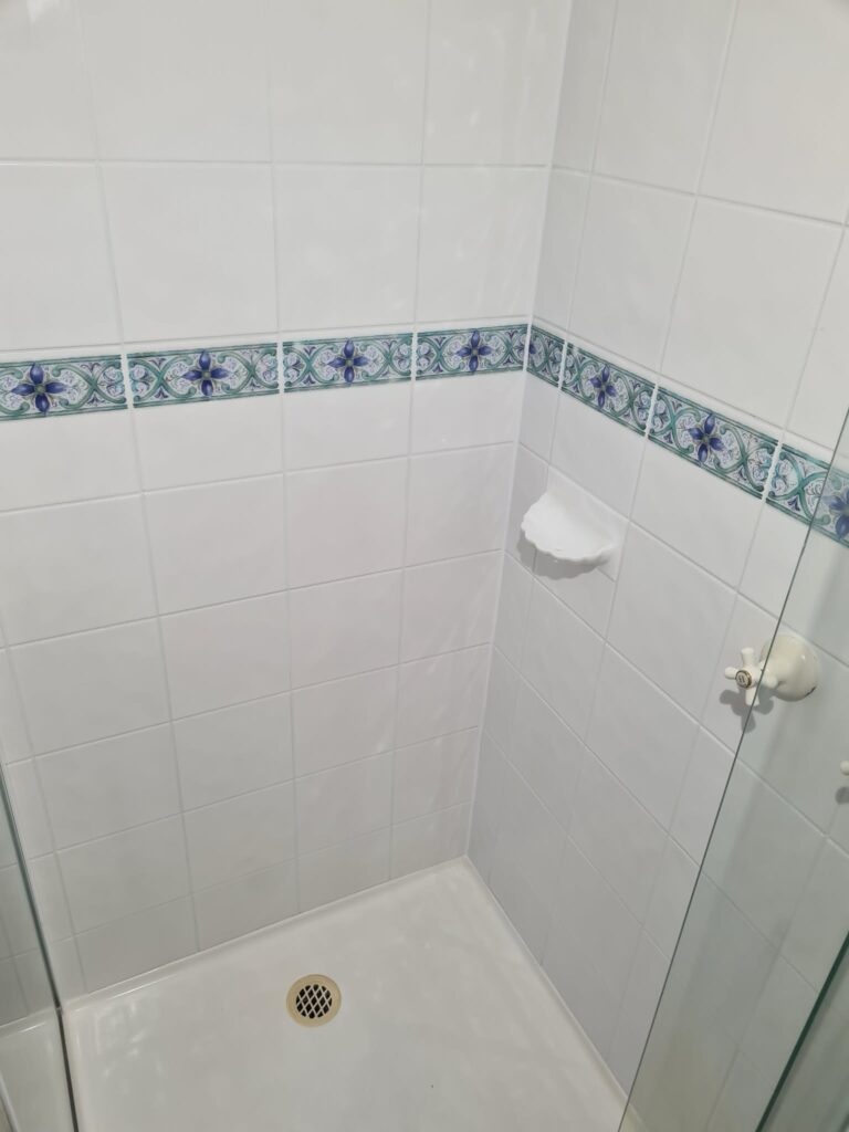Mouldy Grout Remove Replaced With Epoxy Grout